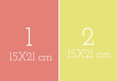 Planche 2 photos 21X15CM