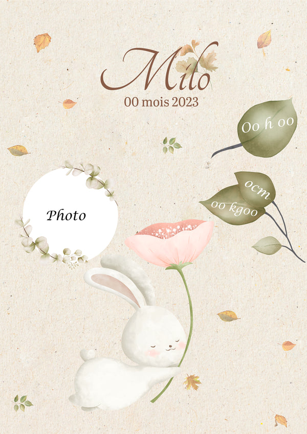 Affiche de naissance personnalisée avec photo thème lapin | cadeau, déco naissance