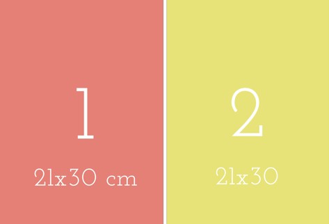 Planche 2 photos 21X30CM
